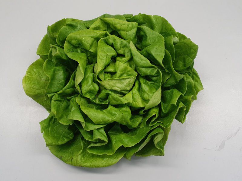 Lettuce quality