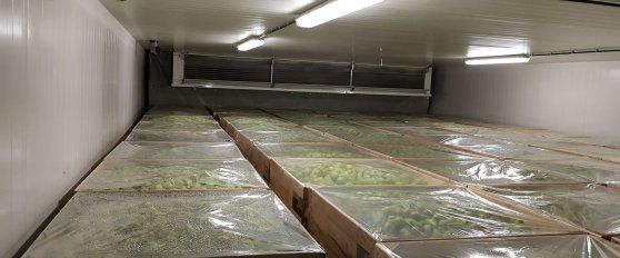 Managing humidity conditions