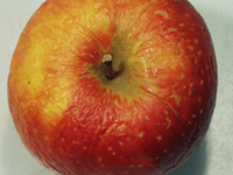 Managing humidity conditions