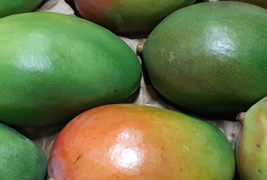 Mango colour and quality