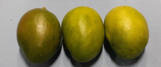 Mango quality
