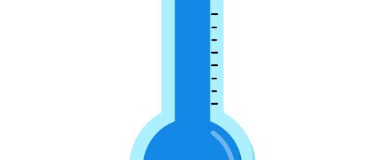 Melon disorders and diseases