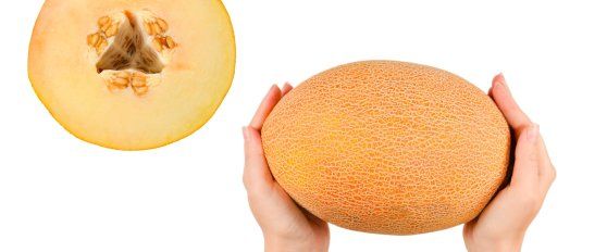 Melon quality