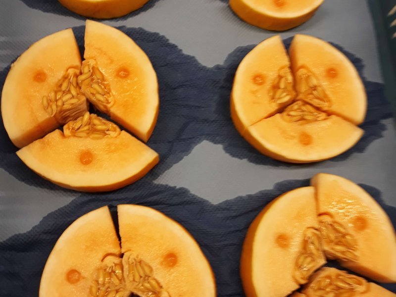 Optimal harvest moment of melons