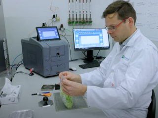 Packaging of fresh produce