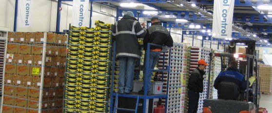 Packhouse practices for avocado