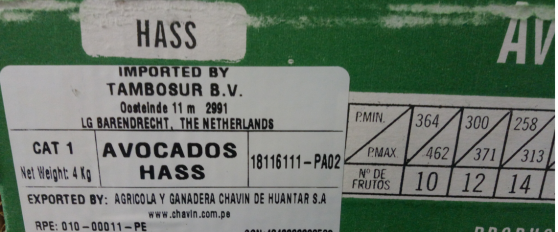 Packhouse practices for avocado