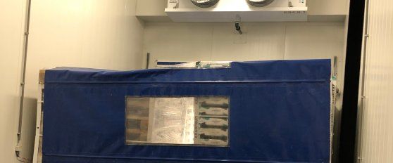 Packhouse practices for bananas