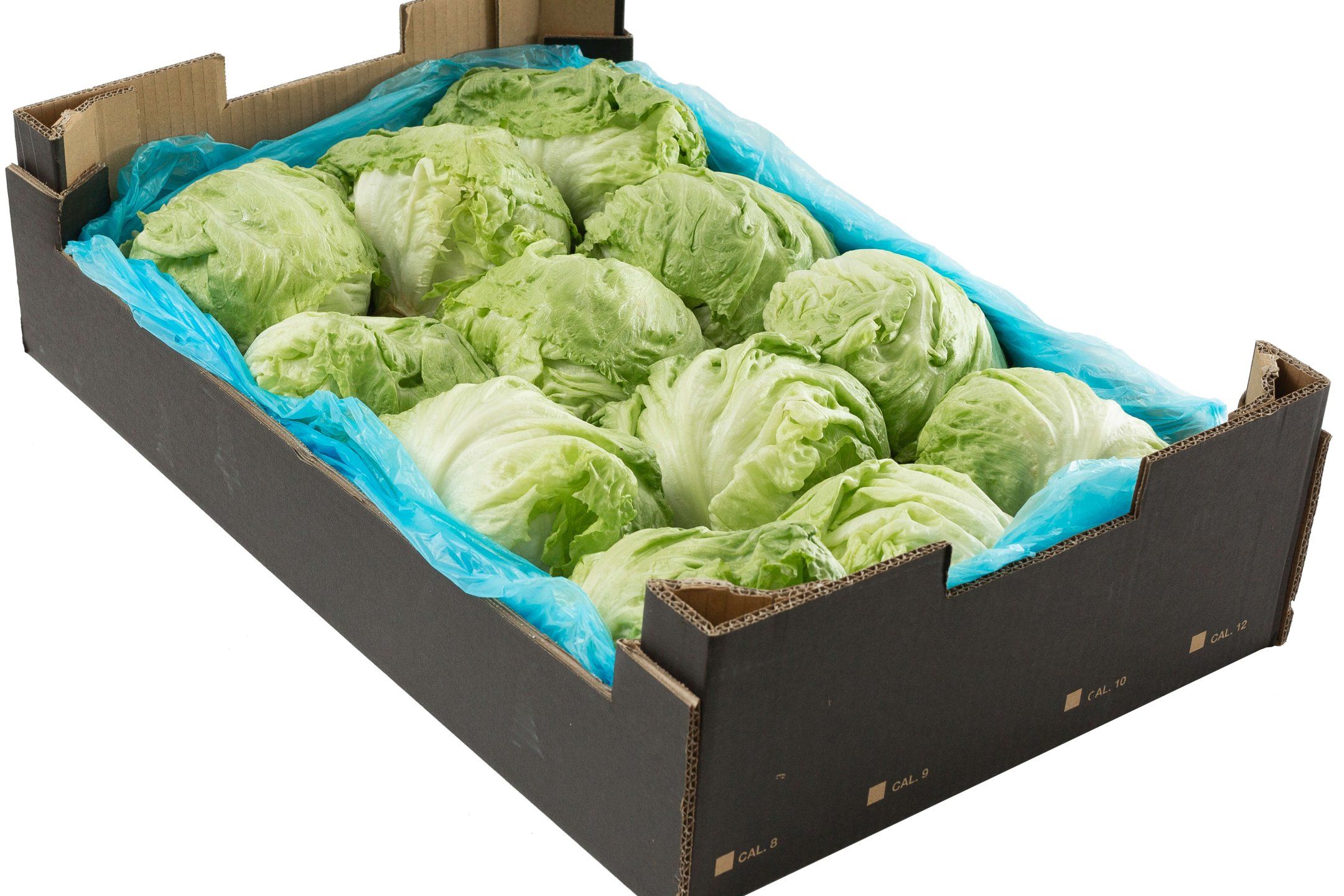Packhouse practices for lettuce