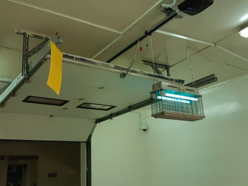 Packhouse practices for lettuce