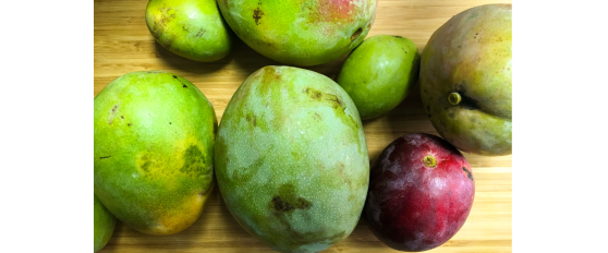 Packhouse practices for mango