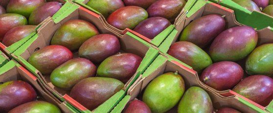 Packhouse practices for mango