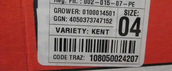 Packhouse practices for mango