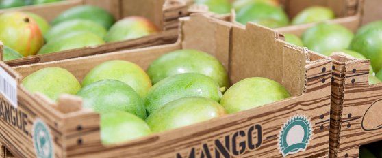 Packhouse practices for mango