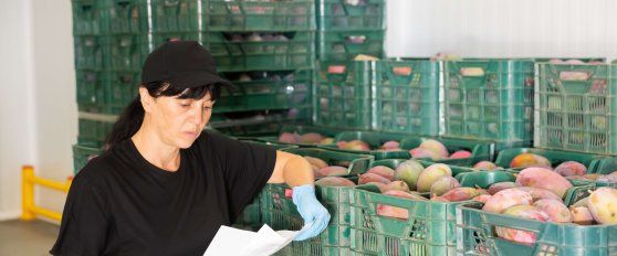 Packhouse practices for mango