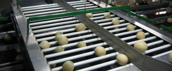 Packhouse practices for melon