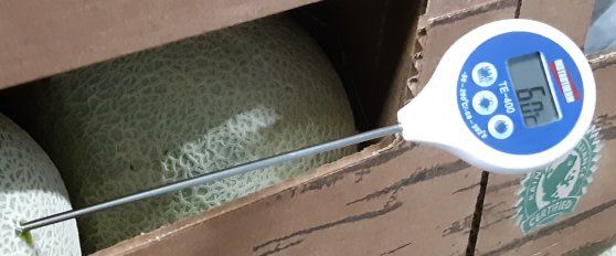 Packhouse practices for melon