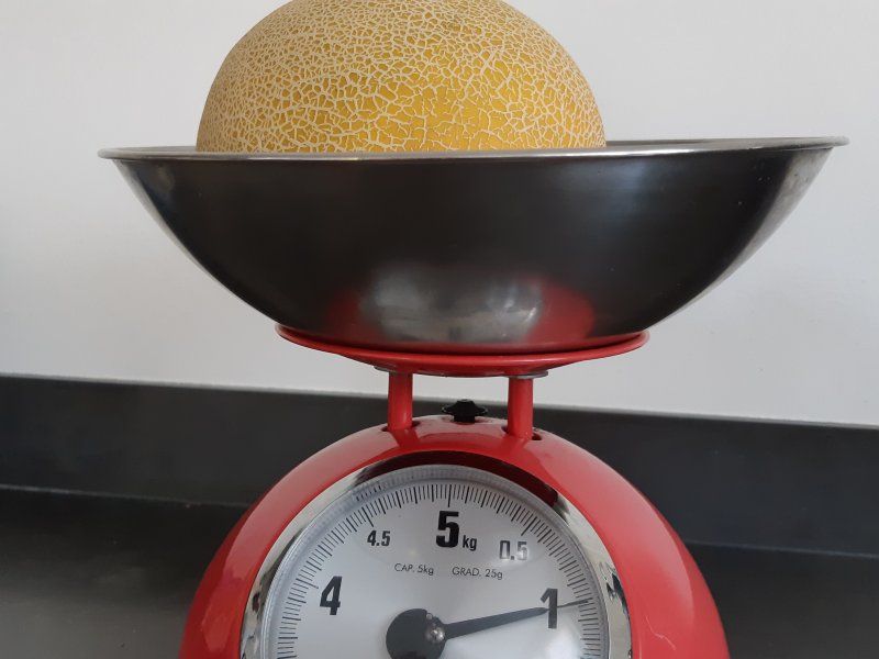 Packhouse practices for melon