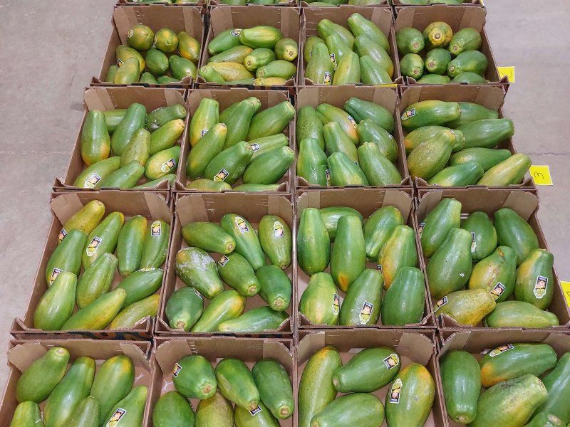 Packhouse practices for papaya