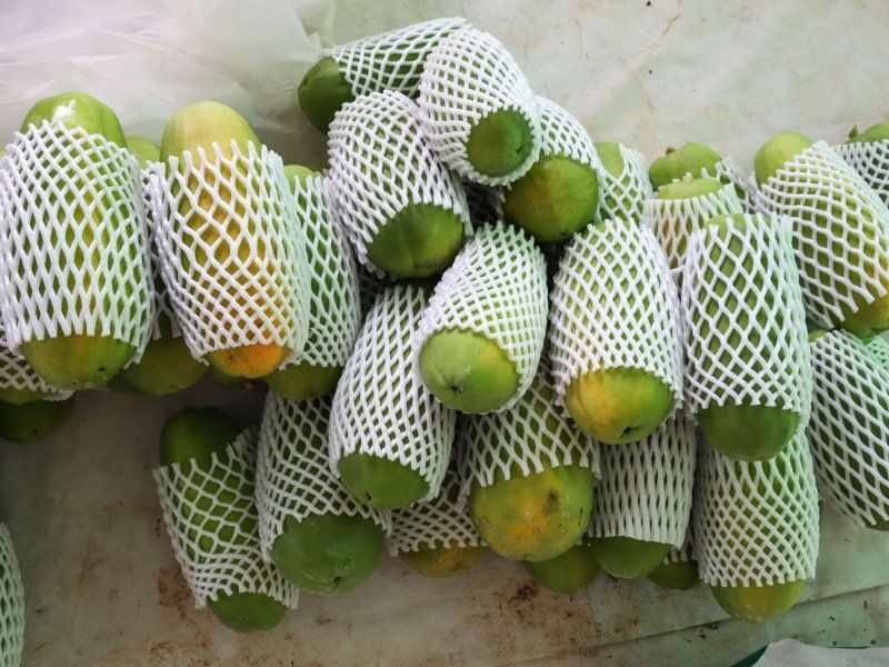 Packhouse practices for papaya