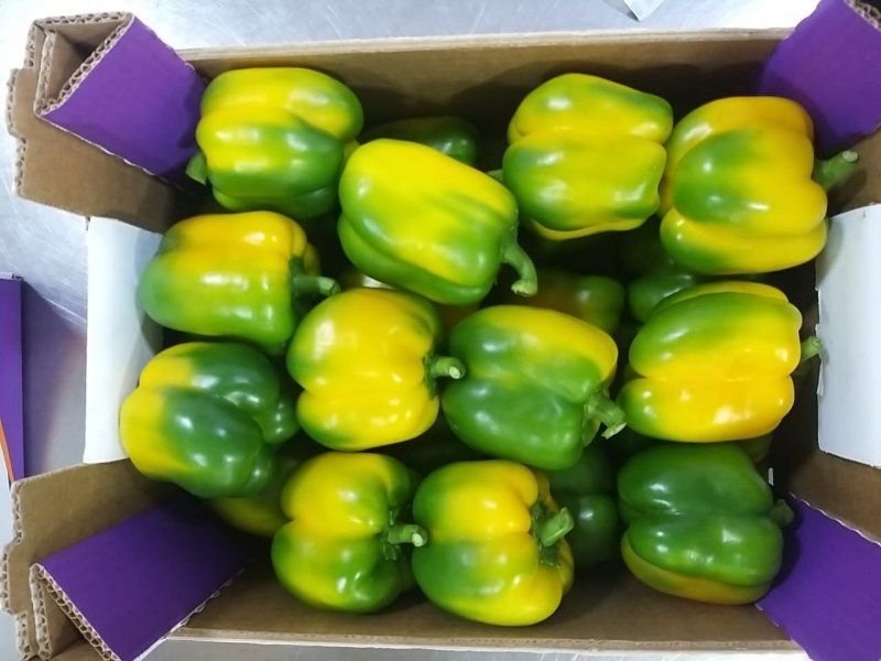 Packhouse practices for peppers