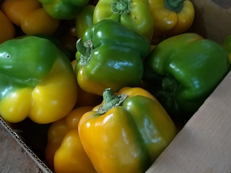 Packhouse practices for peppers