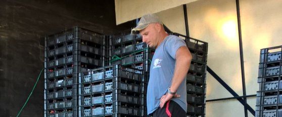 Packhouse practices for strawberry