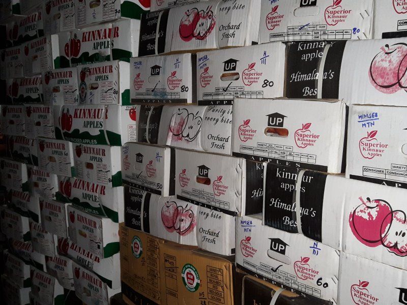 Packing and stacking apples