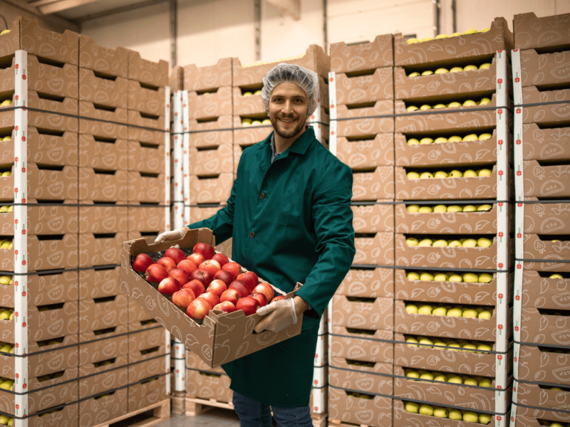 Packing and stacking apples