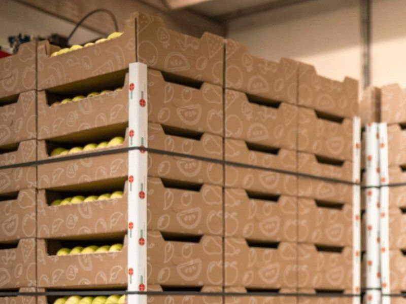 Packing and stacking apples