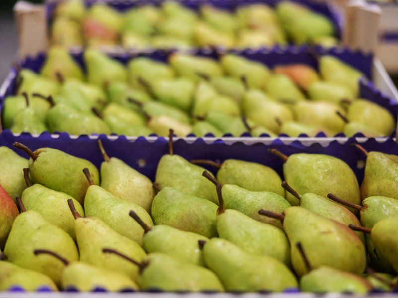 Packing and stacking of pears