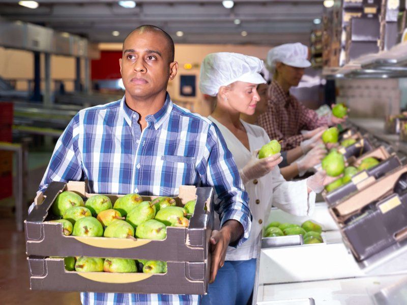Packing and stacking of pears