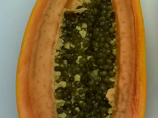 Papaya diseases and disorders
