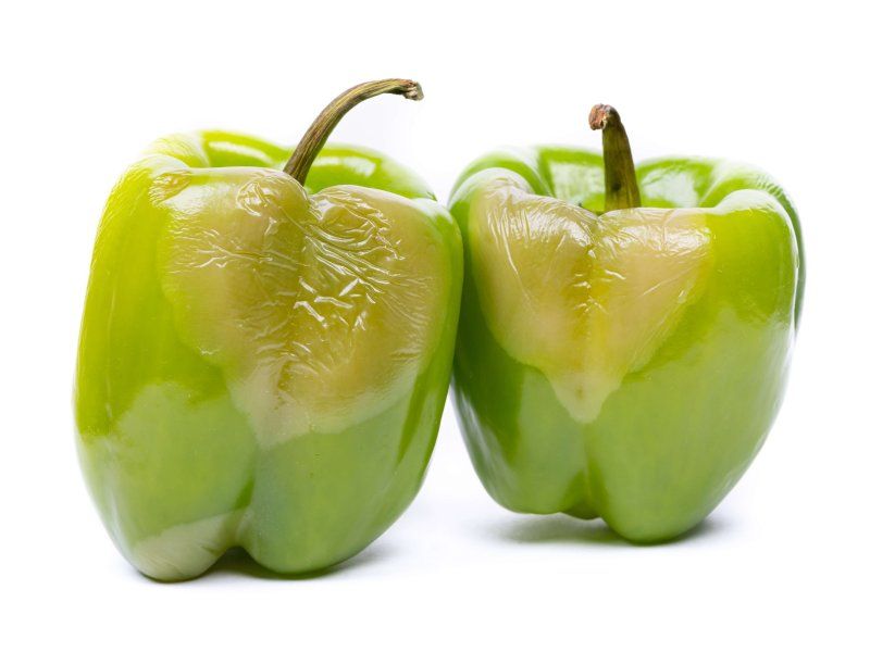 Pepper disorders and diseases