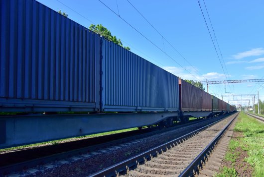 Perishables by rail -- temperature homogeneity in 45ft reefers