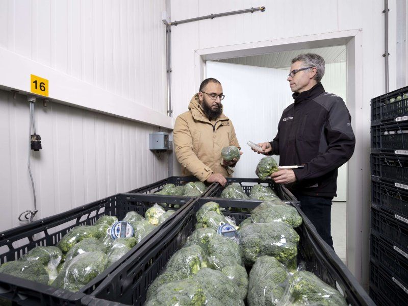 Quality assessment of fresh produce