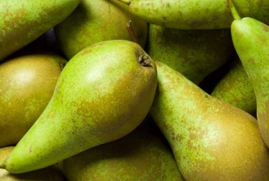 Quality prediction and decision support conference pears