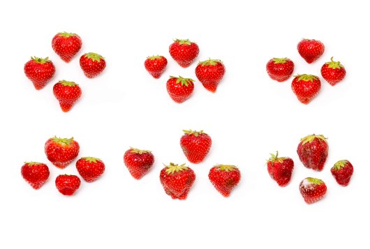 Quality progression and its modelling