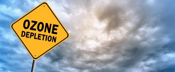 Refrigerants in postharvest refrigerating systems