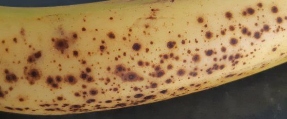 Retail practices for banana