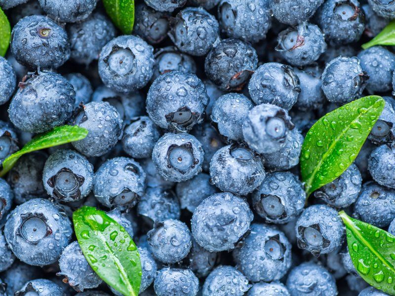 Retail practices for blueberries