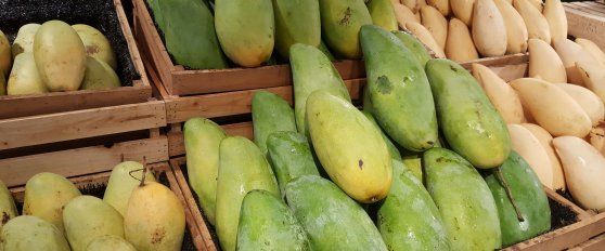 Retail practices for mango