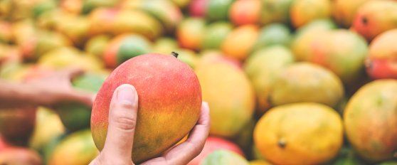 Retail practices for mango
