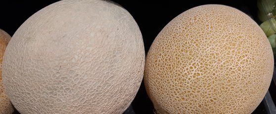 Retail practices for melon