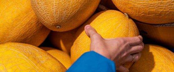 Retail practices for melon