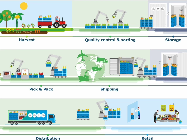 Robotics for quality-driven post-harvest supply chains
