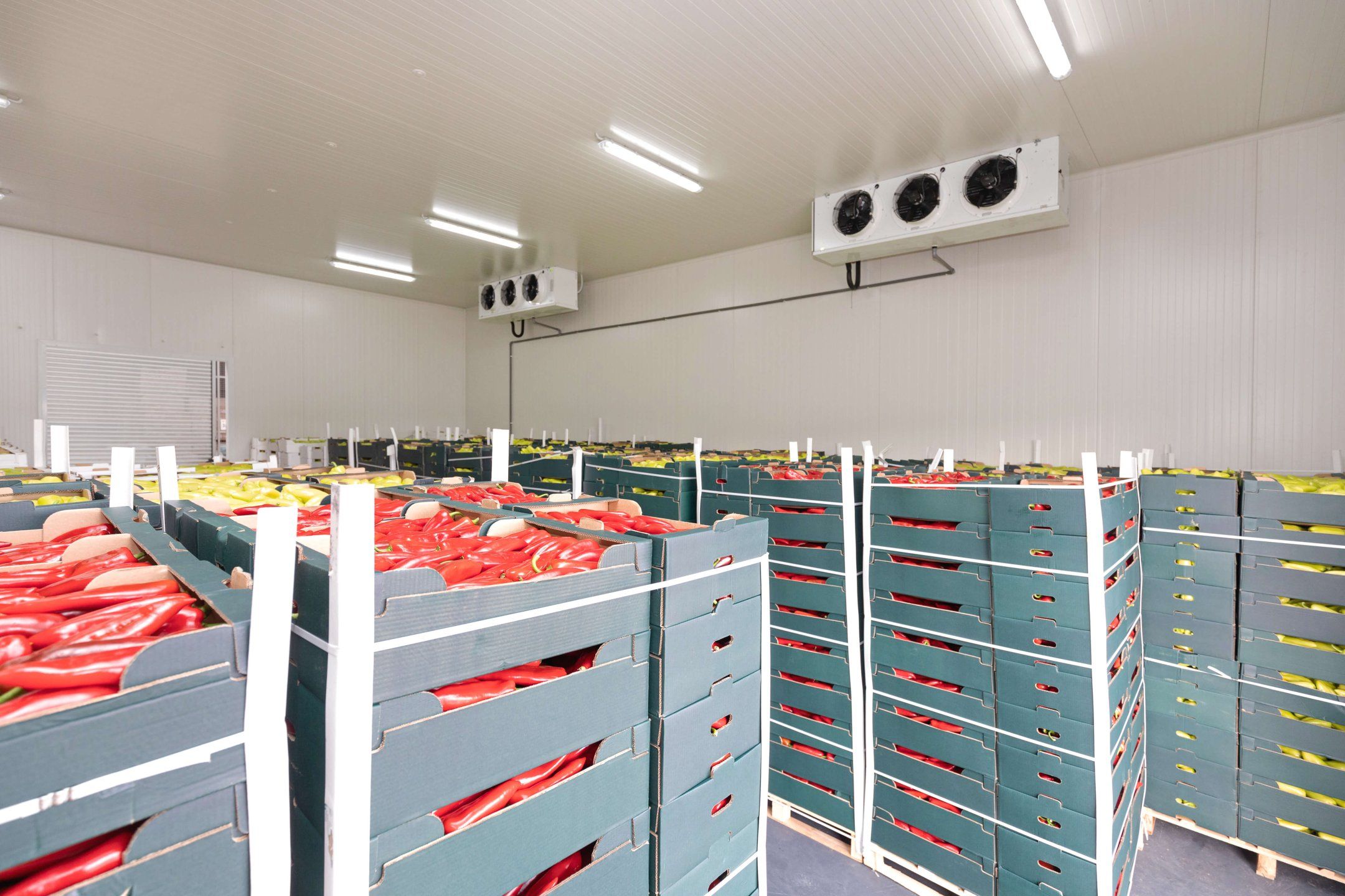 Storage of fresh produce