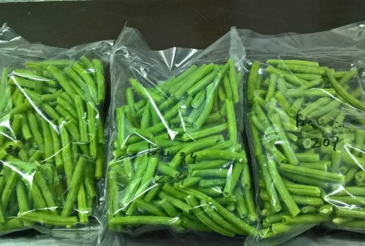 Storing fresh cut green beans