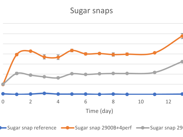 Sustainable Packaging based on Side Stream Starches