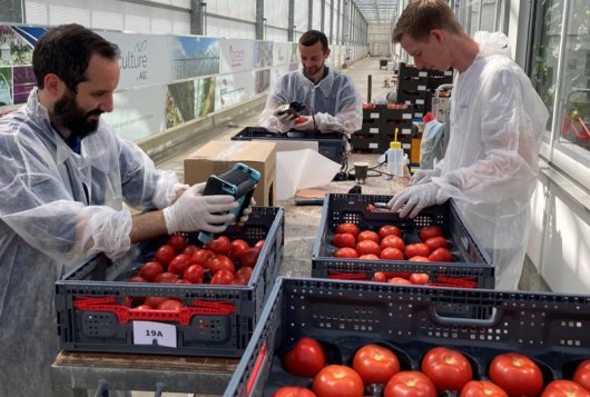 Taste and Non-destructive Flavour Prediction